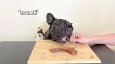 Post by Bruno the French Bulldog