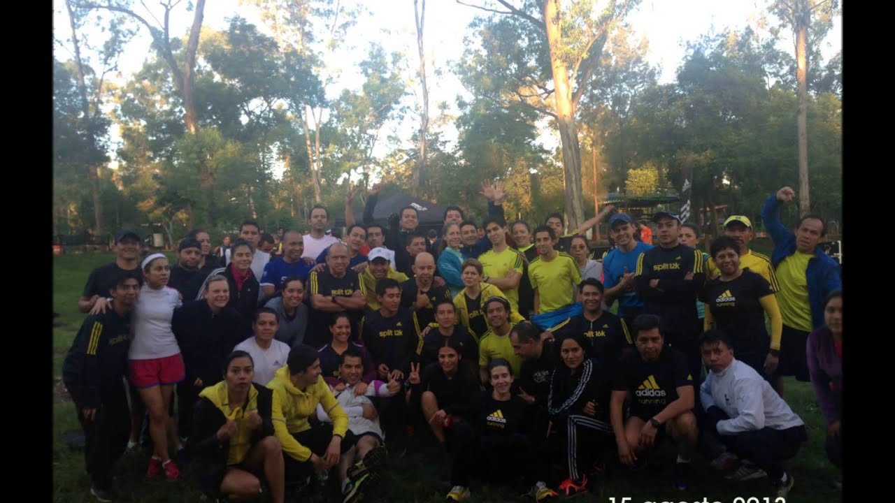 adidas running team adidas running team