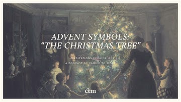 The Christmas Tree | Advent Symbols #1 | MEDITATIONS | Fr Gavan Jennings