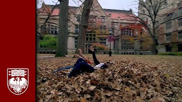 Autumn at UChicago: A walk through the University of Chicago Campus in Fall