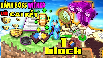 TÝ TIỀN TỈ - HÀNH BOSS HAY BỊ BOSS HÀNH - WITHER - SINH TỒN TRÊN 1 BLOCK - Minecraft One Block # 11