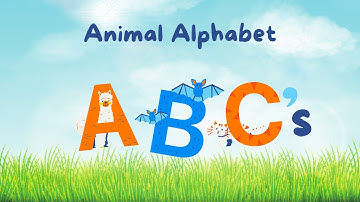 Vui Học Tiếng Anh: Bảng Chữ Cái Động Vật | Learn ABC Animals #abcanimals #abcphonics #funnyenglish