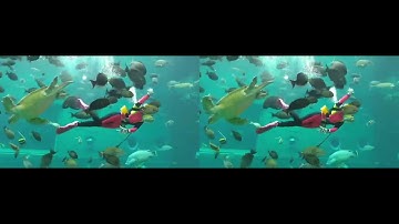 QooCam EGO movie adjusted with StereoMovieAlign (SBS)