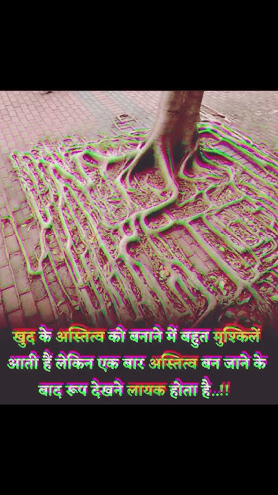 Life Change Quotes In Hindi ll success quotes motivation study motivational-thoughts-and-quotes-quotes-about-life-life-change-quotes