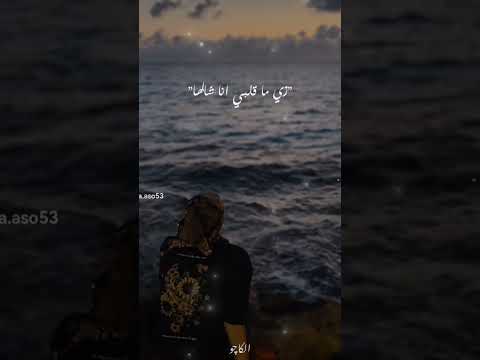 شيل الشيله بحالها