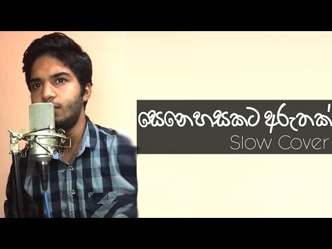 Prathap Eash - සෙනෙහසකට අරුතක් - Senehasakata Aruthak