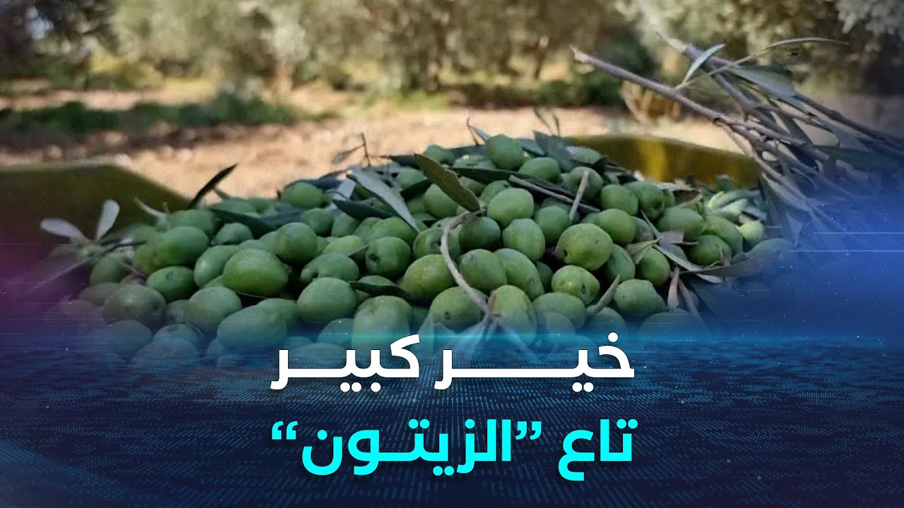 انطلاق حملة 