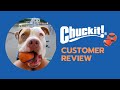 Customer Review| Chuck it! Ultra Ball Best Gifts for Dogs