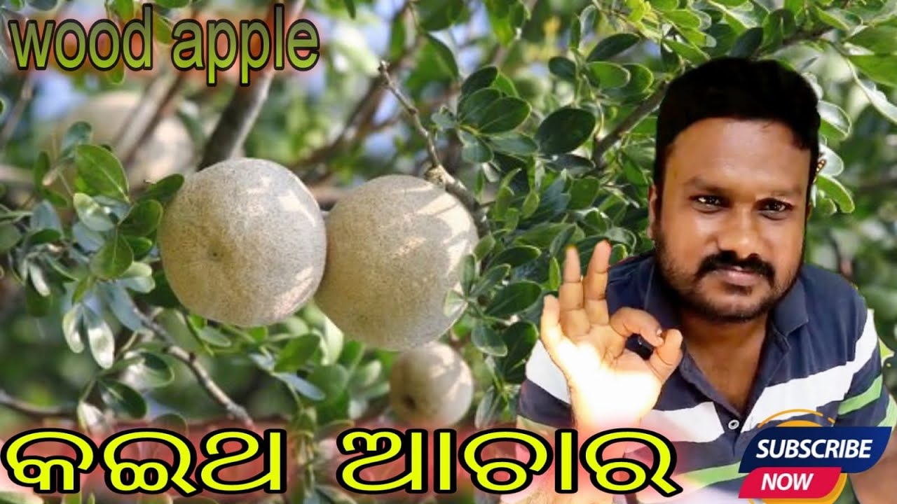 ଖଟା ମିଠା ଚଟପଟା କଇଥ ଆଚାର(wood apple)Kaitha Achara Odia Recipe/viral 