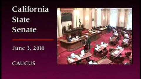 Senate Floor Session - Part 3 6/3/2010