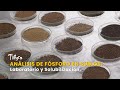 Análisis de Fósforo en Suelos: Laboratorio y Solubilización - TvAgro por Juan Gonzalo Angel