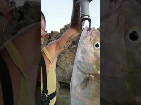 SHORE JIGGING:Palms shore