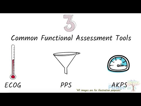 3 Common Functional