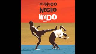 Video thumbnail of "Pavão Macaco - Wado"