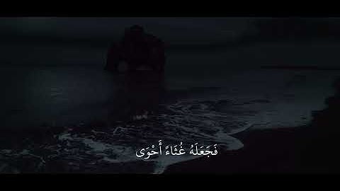 سبح اسم ربك الأعلى - القارئ عبدالرحمن مسعد