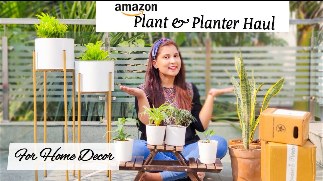 Amazon Home Decor Haul | Plants | Planters | Diwali Home Decor | Starts Rs. 250