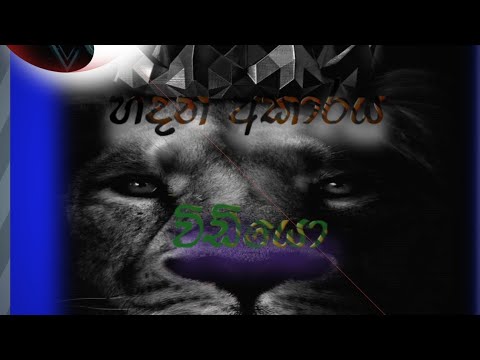 Https Faq Whatsapp Com 5503646096388294 Locale En US 