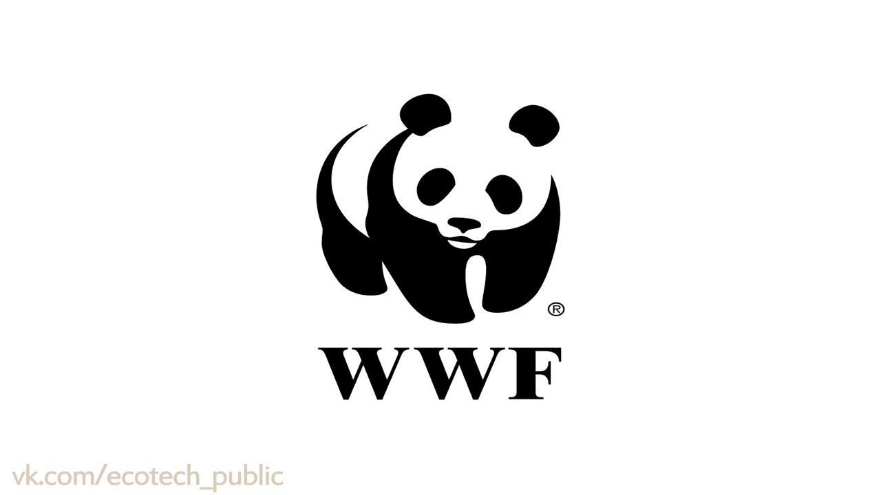 The world wildlife fund is. Всемирный фонд дикой природы WWF. Панда эмблема Всемирного фонда дикой природы. Панда символ WWF. Всемирный фонд охраны животных.