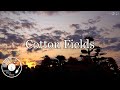 Cotton Fields W Lyrics Creedence Clearwater Revival Version Cotton Fields W Lyrics Creedence Clearwater Revival Version