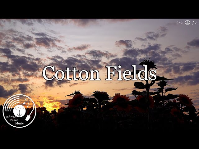 Cotton Fields w/ Lyrics - Creedence Clearwater Revival Version class=