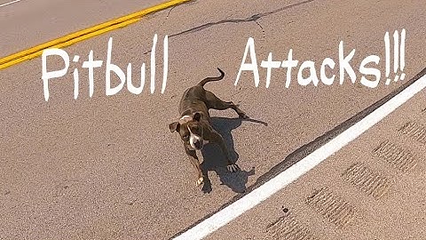Pitbull Dog Attacks Amputee Cyclist Aaron Smith of Gainesville, TX