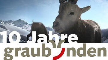 10 Jahre Marke Graubünden - Gian & Gianchen Blicken Zurück (Motion Graphics)
