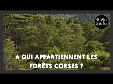 Who owns the Corsican forests?