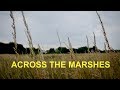 Across the Marshes from Leyton to Walthamstow Wetlands (4K)