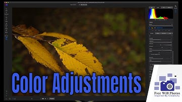 Making Color Adjustments in ON1 Photo Raw Quick And Easy