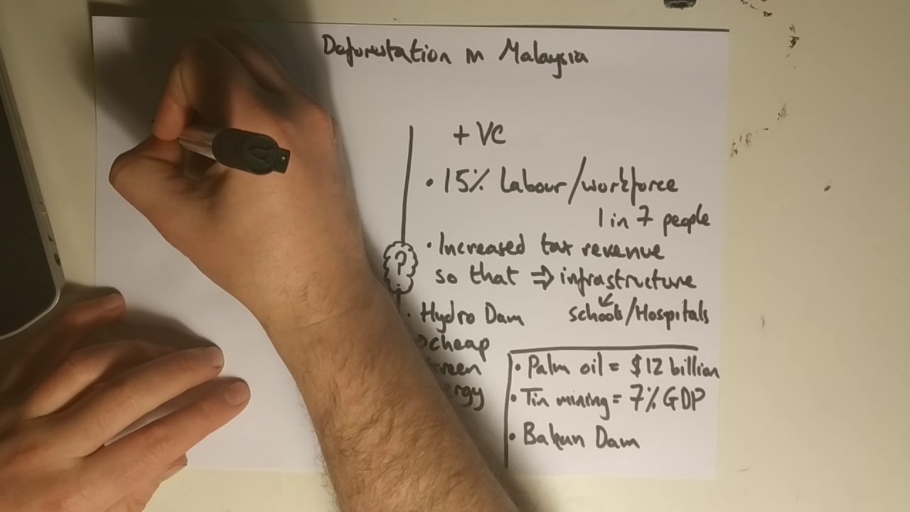 malaysia deforestation case study