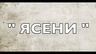 О.Білаш М.Ткач ЯСЕНИ А.Кривицький(Ізраіль)