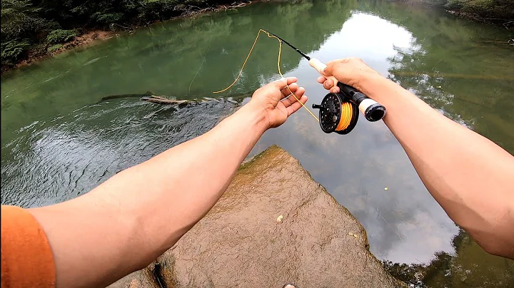 Pesca de truchas en Georgia/Chattaho...  river/kay...
