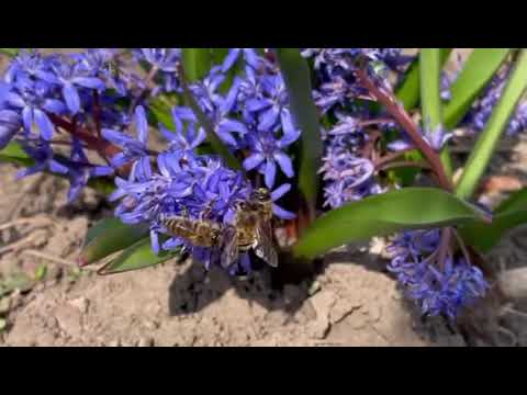 Makkah madinah mashaallah ❤️❤️❤️ by Allah ka banda #786