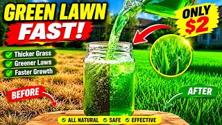 Your Lawn Is Missing This 2 Trick Watch What Happens to the Grass My Pick