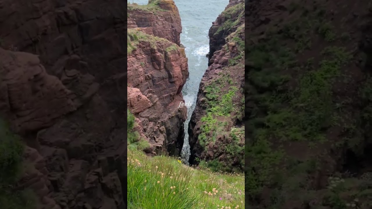 Coastal Escapes 🌊🌿| Scotland 