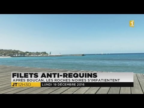 sharknado 5 Filet antirequins des Roches Noires : les commerçants s'impatient - 19/12/2016