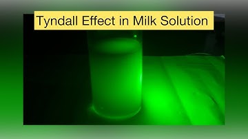 Tyndall Effect in Milk Solution #science #scienceexperiment #tyndalleffect