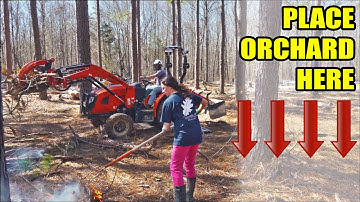 Day 323 - A Productive Day in the Future Orchard