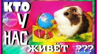 Кто у нас живёт? Кто у нас живёт?