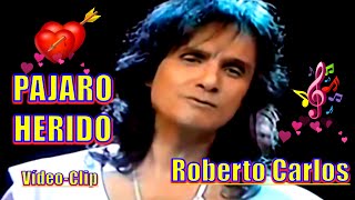 ROBERTO CARLOS - PAJARO HERIDO ''Vídeo-Clip en Español'' - 4k