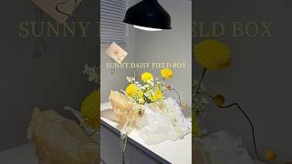 SUNNY DAISY FIELD FLOWER BOX #flowerbox #shorts #flowersnyc #nyc #flowerarrangement #nycflowers