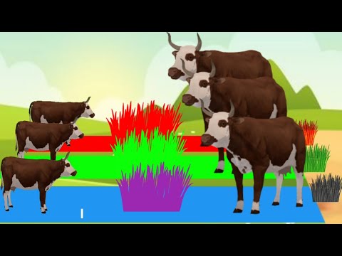 Animal Grass Video | Janwar Wali Video | - YouTube