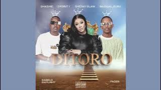 Shashie, 2Point1 , Shejay Glam , Muziqal Guru - Ditoro Feat Kabelo Daylight , Fader [official audio]