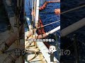 ウミオスに社名変更したマルハニチロ。もともとの社名は全然違った #渡部清二小話