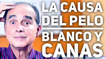 ¿Qué carencia provoca el pelo blanco?