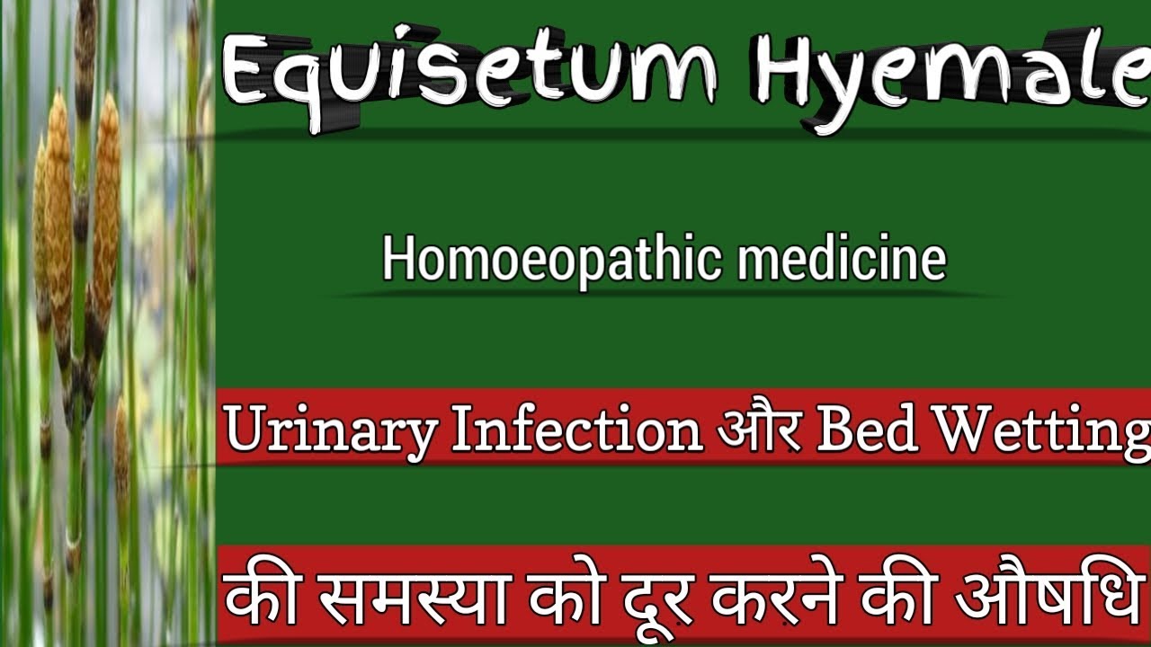 Equisetum Hyemale Use for Bed Wetting & Urinary infection 