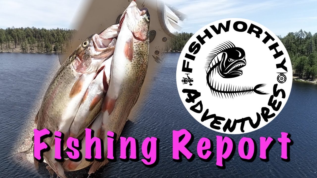 Willow Springs Lake Fishing Report - Forest Lakes Fishing - Mogollon Rim Fishing
