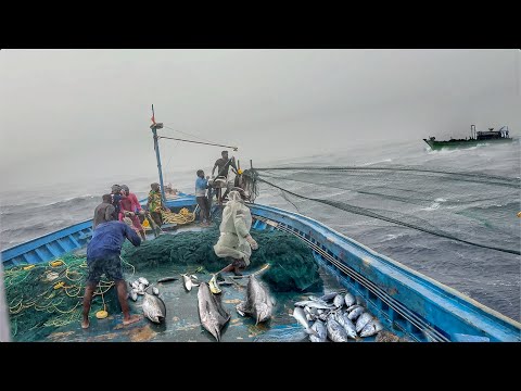 Extreme Deep Sea Survival ⚡ Fishermen Facing Monster Waves | Day-12