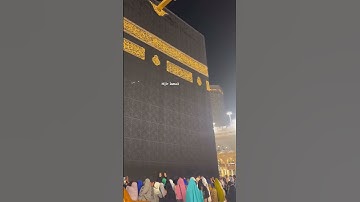 Makkah today #hajj2024 #madina #umrah Makkah #shorts makkah live madinalive #rain newnaatsharif Azan