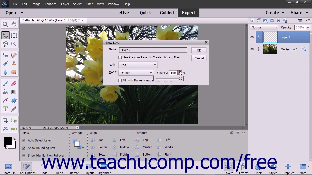 Photoshop Elements 2018 Tutorial Creating New Layers Adobe Training ...
